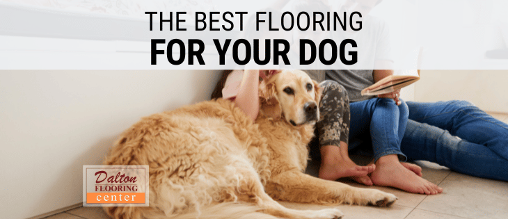 what type of flooring is best when you have dogs